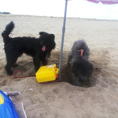 Urlaub Frankreich 2015 (12)